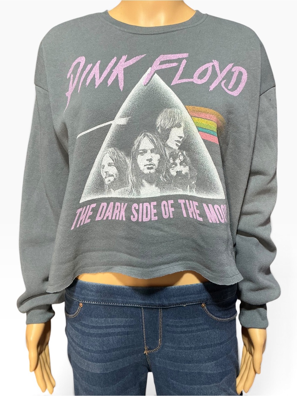 Pink Floyd Gray The Dark Side of the Moon Cropped Sweatshirt